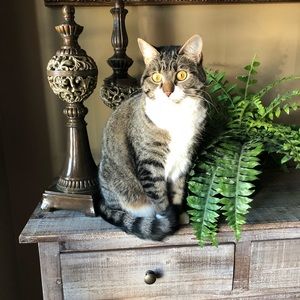 Meet your Posher, Pamela